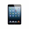 Apple - Pre-Owned iPad mini - 16GB - Black & Slate